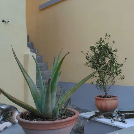 La Stanzetta Viola * Fezzano (Liguria)
