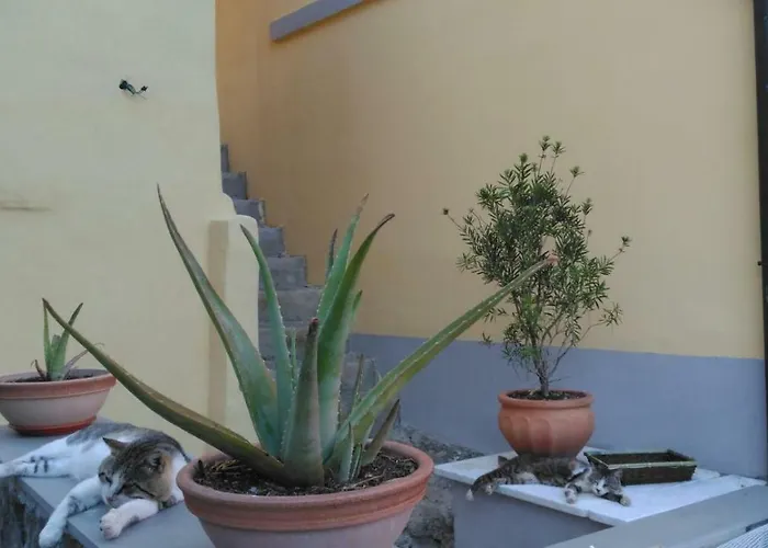 La Stanzetta Viola 3* Fezzano (Liguria)